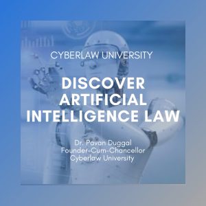 Discover AI law