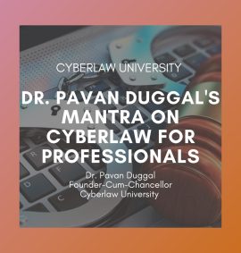cyberlaw mantra for professional