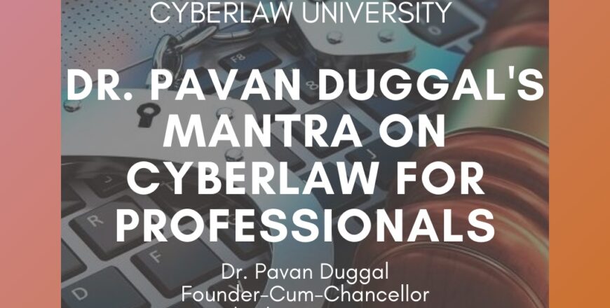cyberlaw mantra for professional